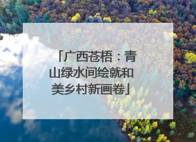 广西苍梧：青山绿水间绘就和美乡村新画卷