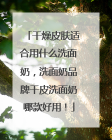 干燥皮肤适合用什么洗面奶，洗面奶品牌干皮洗面奶哪款好用！