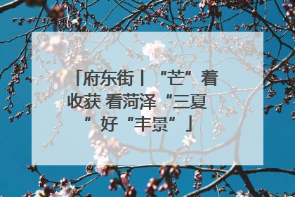 府东街丨“芒”着收获 看菏泽“三夏”好“丰景”