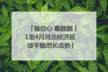 强信心 看数据丨1至4月河北经济延续平稳增长态势