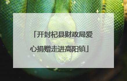 开封杞县财政局爱心捐赠走进高阳镇