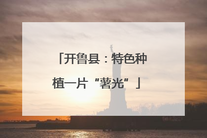 开鲁县：特色种植一片“薯光”