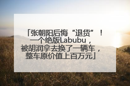 张朝阳后悔“退货”！一个绝版Labubu，被胡润拿去换了一辆车，整车原价值上百万元