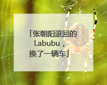 张朝阳退回的Labubu，换了一辆车