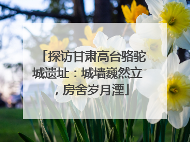 探访甘肃高台骆驼城遗址：城墙巍然立，房舍岁月湮