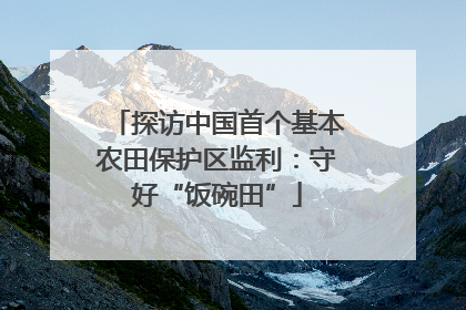 探访中国首个基本农田保护区监利：守好“饭碗田”