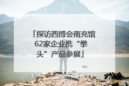 探访西博会南充馆 62家企业携“拳头”产品参展