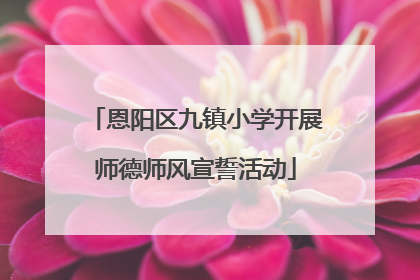 恩阳区九镇小学开展师德师风宣誓活动