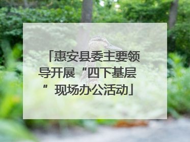 惠安县委主要领导开展“四下基层”现场办公活动