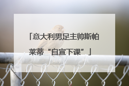 意大利男足主帅斯帕莱蒂“自宣下课”