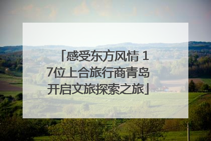 感受东方风情 17位上合旅行商青岛开启文旅探索之旅