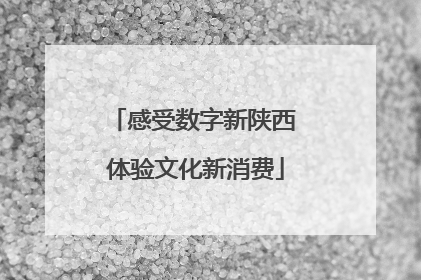 感受数字新陕西 体验文化新消费