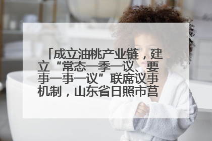 成立油桃产业链，建立“常态一季一议、要事一事一议”联席议事机制，山东省日照市莒县果庄镇——13个党小组“全周期”育果