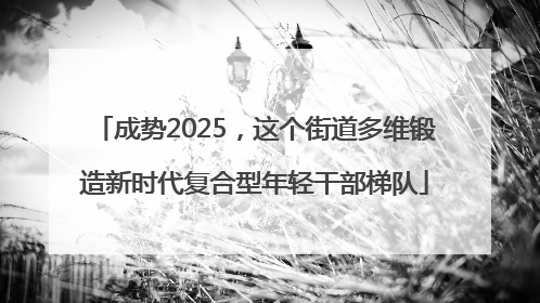 成势2025，这个街道多维锻造新时代复合型年轻干部梯队
