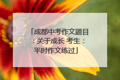 成都中考作文题目：关于成长 考生：平时作文练过