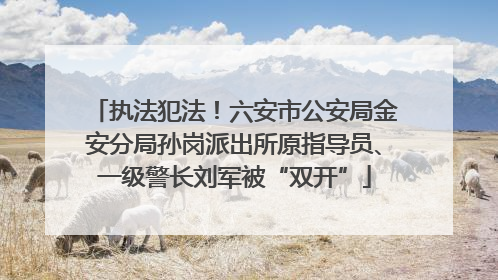 执法犯法！六安市公安局金安分局孙岗派出所原指导员、一级警长刘军被“双开”