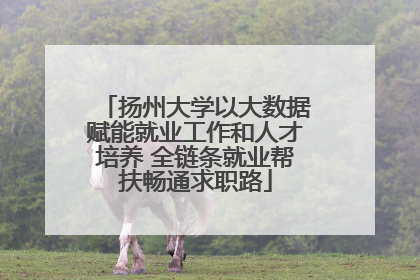 扬州大学以大数据赋能就业工作和人才培养 全链条就业帮扶畅通求职路