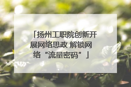 扬州工职院创新开展网络思政 解锁网络“流量密码”