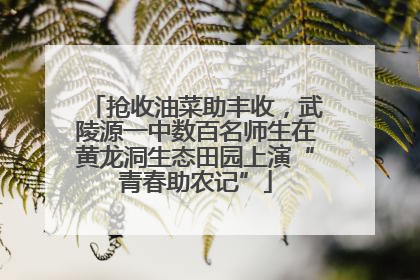 抢收油菜助丰收，武陵源一中数百名师生在黄龙洞生态田园上演“青春助农记”