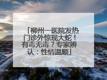 柳州一医院发热门诊外惊现大蛇！有毒无毒？专家辨认：性情温顺