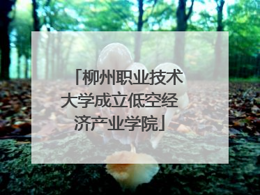 柳州职业技术大学成立低空经济产业学院