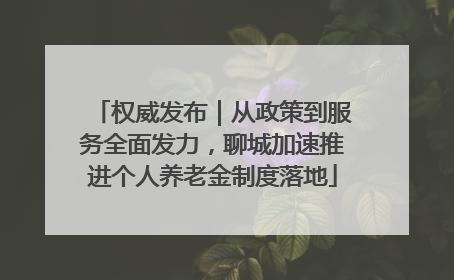 权威发布｜从政策到服务全面发力，聊城加速推进个人养老金制度落地