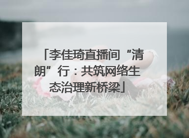李佳琦直播间“清朗”行：共筑网络生态治理新桥梁
