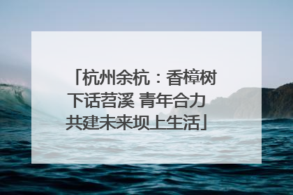 杭州余杭：香樟树下话苕溪 青年合力共建未来坝上生活