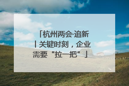 杭州两会·追新丨关键时刻，企业需要“拉一把”