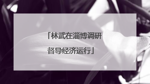 林武在淄博调研督导经济运行