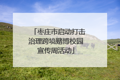 枣庄市启动打击治理跨境赌博校园宣传周活动