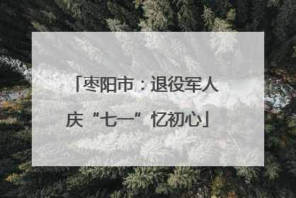 枣阳市：退役军人庆“七一”忆初心