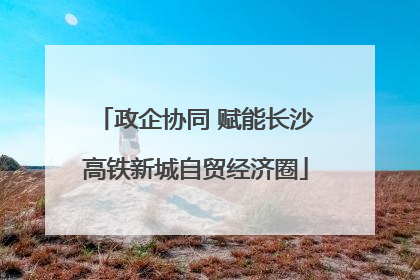 政企协同 赋能长沙高铁新城自贸经济圈