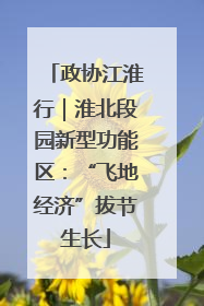 政协江淮行｜淮北段园新型功能区：“飞地经济”拔节生长