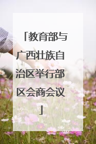 教育部与广西壮族自治区举行部区会商会议