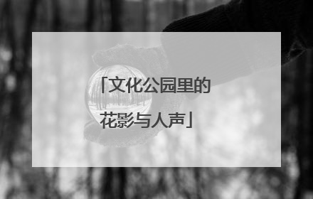文化公园里的花影与人声