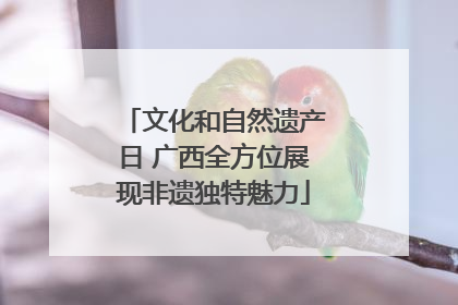 文化和自然遗产日 广西全方位展现非遗独特魅力