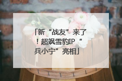 新“战友”来了！超飒雪豹IP“兵小宁”亮相
