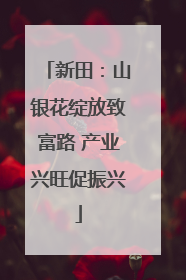 新田：山银花绽放致富路 产业兴旺促振兴