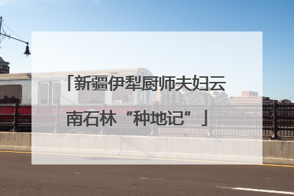 新疆伊犁厨师夫妇云南石林“种地记”