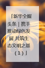 新华全媒头条｜携手推动绿色发展 共筑生态文明之基（1）