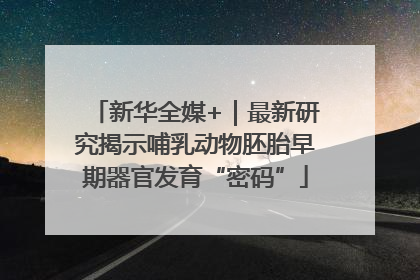 新华全媒+｜最新研究揭示哺乳动物胚胎早期器官发育“密码”