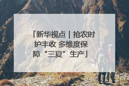新华视点｜抢农时 护丰收 多维度保障“三夏”生产