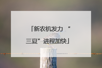 新农机发力 “三夏”进程加快