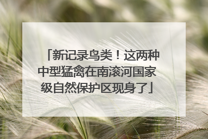 新记录鸟类！这两种中型猛禽在南滚河国家级自然保护区现身了