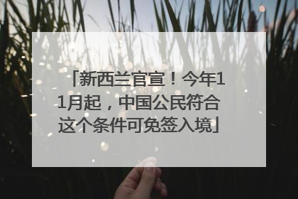 新西兰官宣！今年11月起，中国公民符合这个条件可免签入境