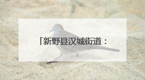 新野县汉城街道：法治护航润童心 家校共育筑未来