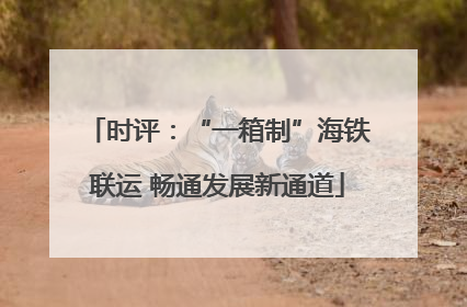 时评：“一箱制”海铁联运 畅通发展新通道