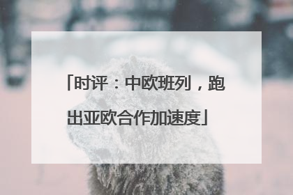时评：中欧班列，跑出亚欧合作加速度