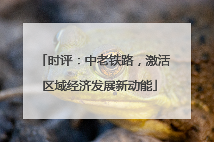 时评：中老铁路，激活区域经济发展新动能